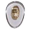 Plaquettes PVC 12mm symétrique 100 paires vis